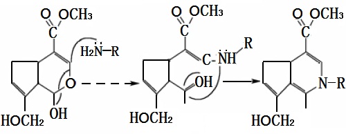 京尼平（C11H14O5）與氨基化合物（H2N-R）的反應(yīng)機(jī)理示意圖